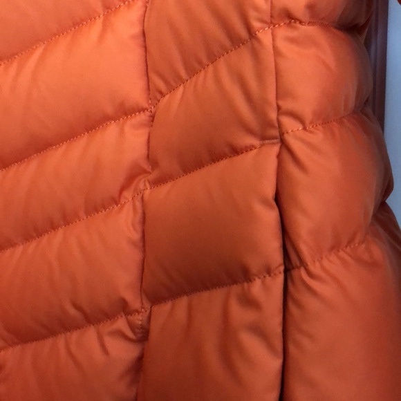 Coat - Picture 4 of 5